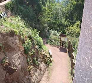Weg zur Burg