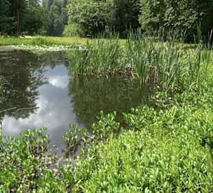Wanderung Froschteich-Tour