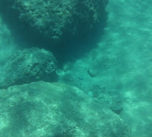 Glasbodenboot Tour Lindos