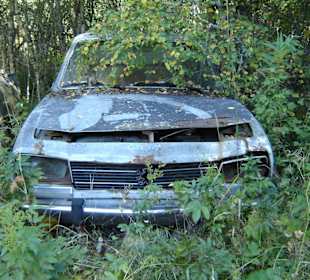 Autofriedhof am Foxen