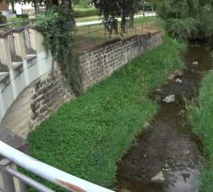 Gänswiese