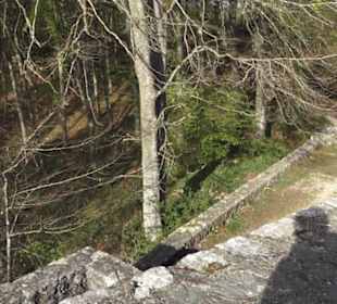 Wanderweg Hochgehswiggert