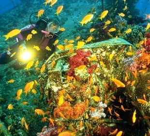 Schnorcheln Makadi Bay-Ausfluge mit Amy Reisen