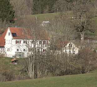 Hofgut Uhenfels Seeburg