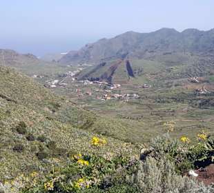 Vulkan Montaña del Palmar in Buenavista del Norte