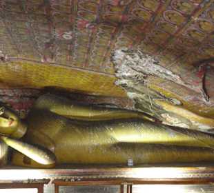 Dambulla