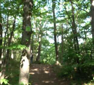 Premiumwanderweg "hochgelegen"f