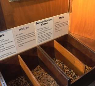 Donau-Schiffahrts-Museum