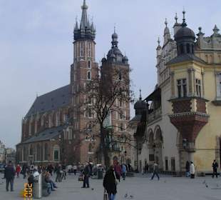 Kościół mariacki