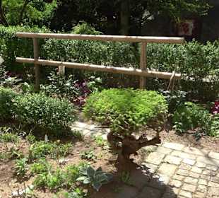 Rosengarten Nördlingen