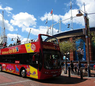 Sightseeing Bus