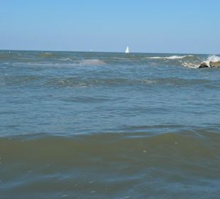 Римини, море