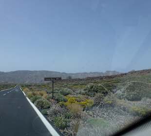 Nationalpark --> Teide