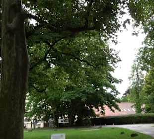 Kloster Bernried