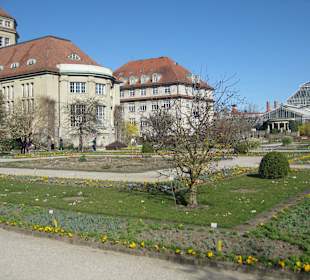 Botanischer Garten