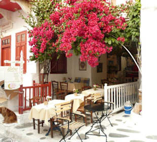 Altstadt - Lotus-Restaurant