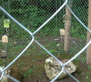 Phäno-Pfad Aichstetten