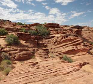Der Colorado River hat ganze Arbeit geleistet