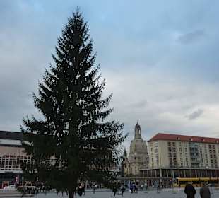 Altmarkt - im Hintergrund die Frauenkirche