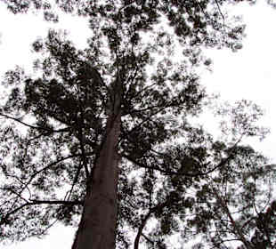 auf dem Weg nach oben 