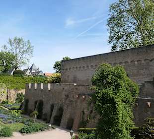 Die Kurfürstliche Burg Eltville