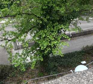 Historischer Rundgang