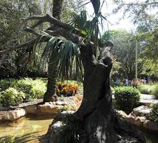 Parkanlage / wunscherschön angelegt Botanik