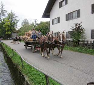 Fuhrwerk mit Holz