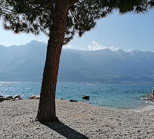 Gardasee