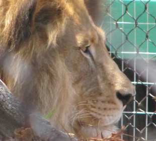 San Diego Zoo