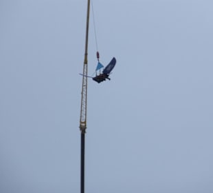 Neujahrsskispringen 2010 Vier-Schanzen-Tournee