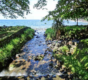 An der Küste der Anse des Cascades