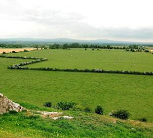 Blick auf die grüne irische Landschaft