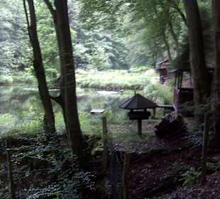 Idyllischer Eindruck