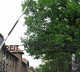 Auschwitz