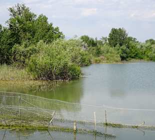 Das Ökoreservat am Lac de Villeneuve-de-la-Raho