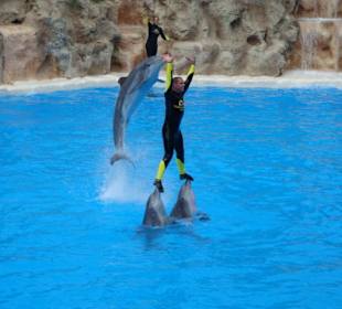 Shows und Unterhaltung