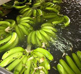 Reinigung im Wasserbad