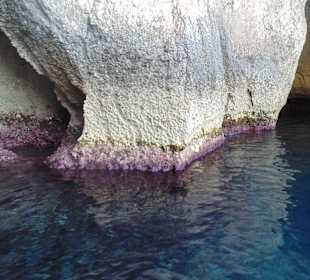 Jasknie Morskie Blue Grotto