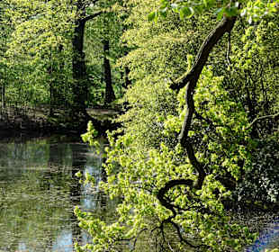 Impressionen aus dem Park Höpkensruh