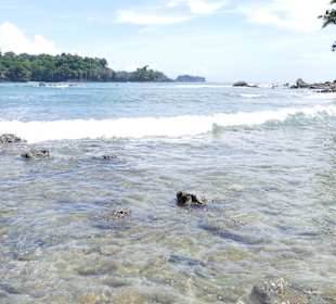 Nationalpark Manuel Antonio