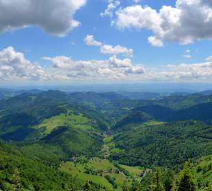 Wandern Todtnau