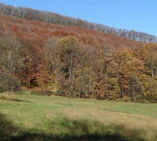 Blick auf den Wienerwald