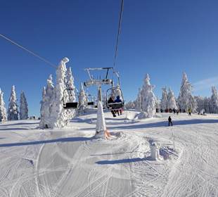 Wandern Mitterfirmiansreut 