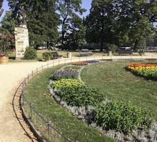 Altstadt - Rund um das Terrassenufer