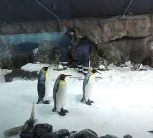 Besonders die Kinder hatten viel Spaß