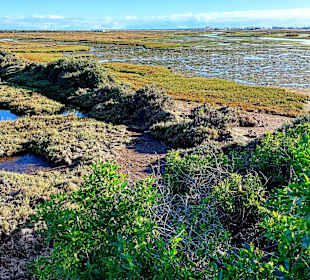 Parque Natural da Ria Formosa