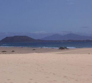 Der Strand von Corralejo