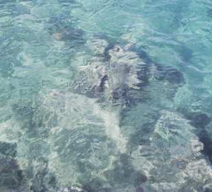 Wasser wie in der Badewanne