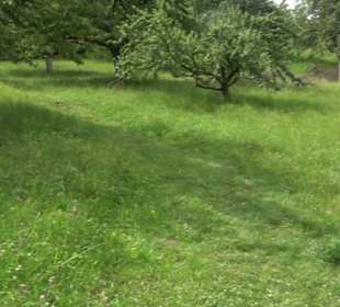 Premiumspazierweg Früchtetrauf-Leisawegle